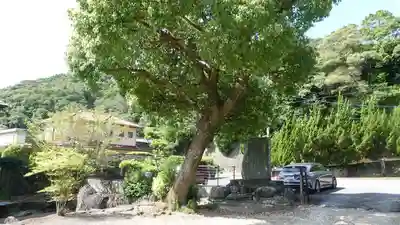 竹林院(徳島県)