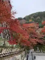 清水寺の自然