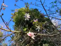 葛原岡神社(神奈川県)