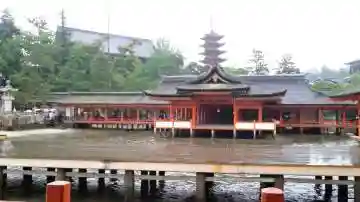 厳島神社の本殿