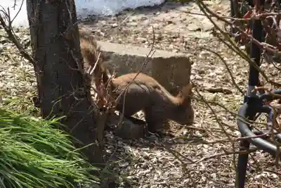 宝光寺(北海道)
