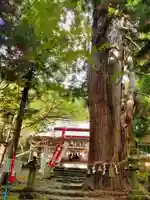 磐椅神社の自然