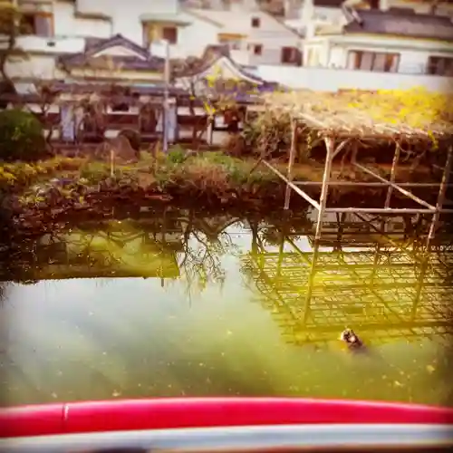 亀戸天神社の庭園