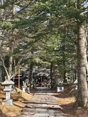 諏訪神社(長野県)