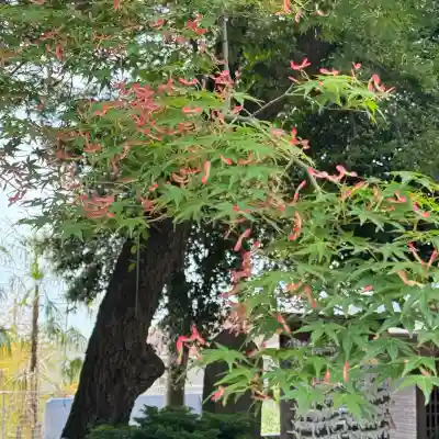 深見神社(神奈川県)