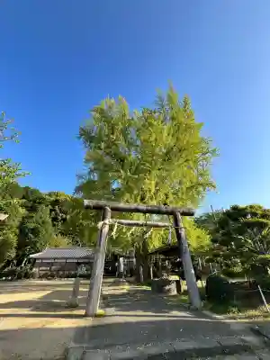 丹生酒殿神社(和歌山県)