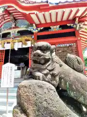 香椎神社の狛犬