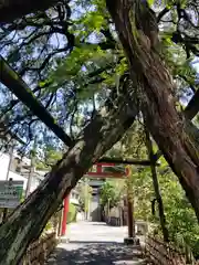 荏柄天神社の鳥居