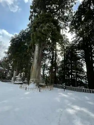 戸隠神社中社(長野県)