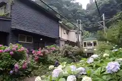 御霊神社の周辺