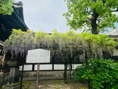 六孫王神社の{uncategorized: "未分類", other: "その他", undefined: "問題あり", building: "その他建物", grave: "お墓", sacred_gate: "鳥居", guardian: "狛犬", statue: "像", buddha: "仏像", history: "歴史", nature: "自然", garden: "庭園", animal: "動物", pagoda: "塔", temizu: "手水舎", mountain_gate: "山門・神門", sanctuary: "本殿・本堂", subordinate: "末社・摂社", art: "芸術", scenery: "景色", jizo: "地蔵", ema: "絵馬", goshuin: "御朱印", omikuji: "おみくじ", items: "授与品その他", amulet: "お守り", goshuincho: "御朱印帳", eats: "食事", festival: "お祭り", votive_dance: "神楽", shichigosan: "七五三参", wedding: "結婚式", experience: "体験その他", initially: "初詣", around: "周辺", anti_infection: "感染症対策"}