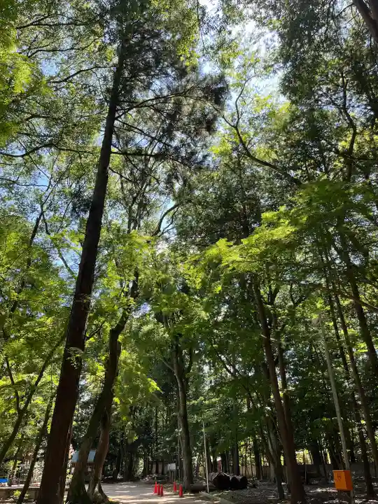 小御門神社(千葉県)