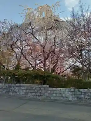 松音寺(宮城県)