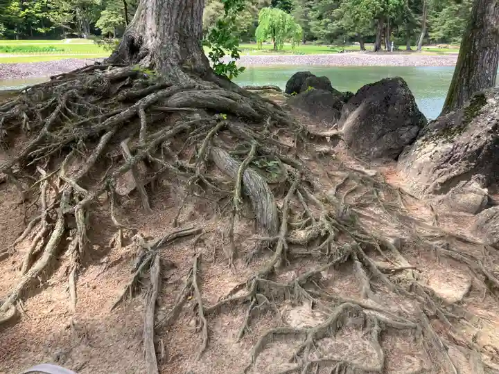 毛越寺(岩手県)