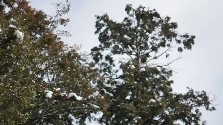 梅宮大社(京都府)