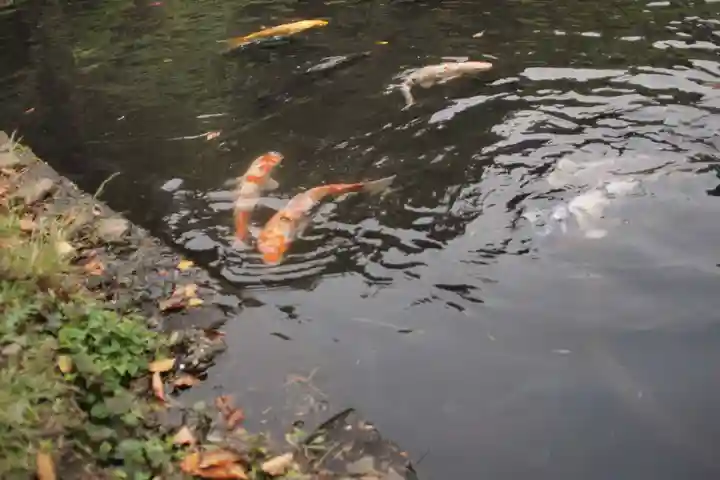 都農神社の庭園
