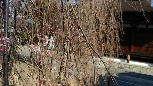 大報恩寺（千本釈迦堂）のその他建物