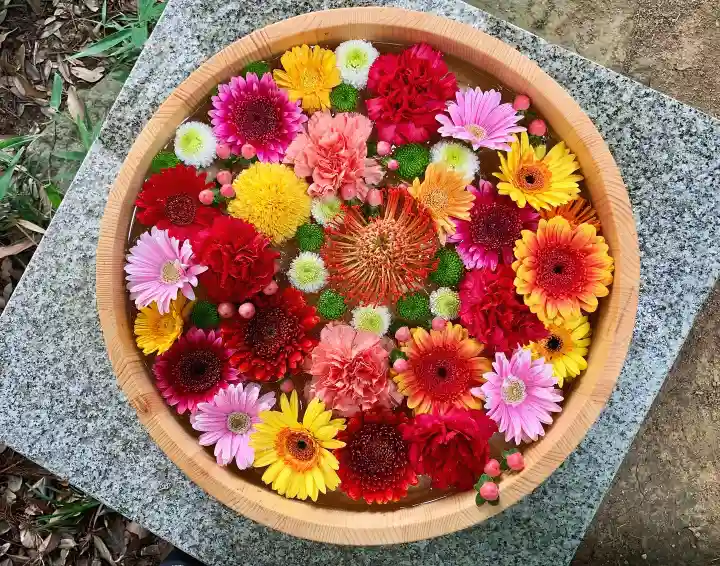滑川神社 - 仕事と子どもの守り神の手水舎
