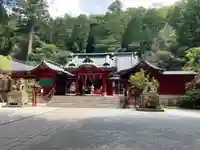 箱根神社の本殿・本堂