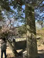 東大寺(奈良県)