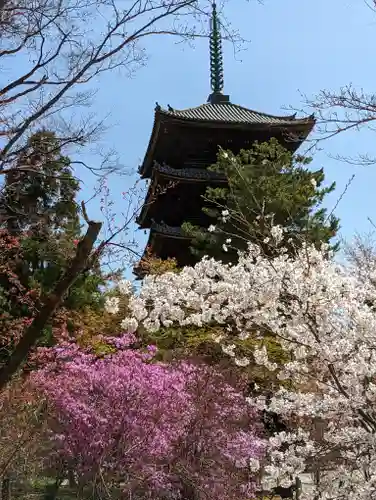 仁和寺(京都府)