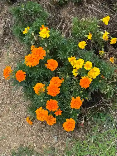 奈良縣護國神社(奈良県)