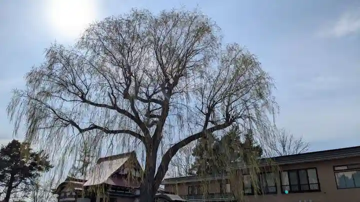 春宮寺の自然