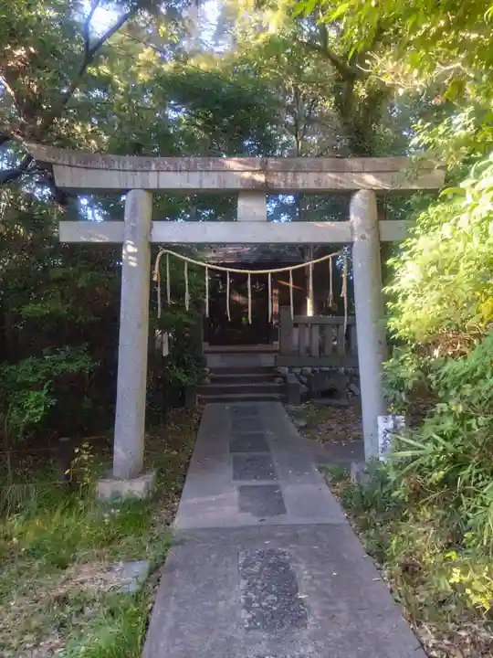 忍 諏訪神社・東照宮 (埼玉県)