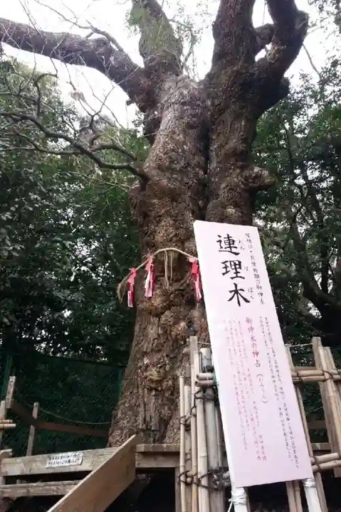 城山八幡宮(愛知県)