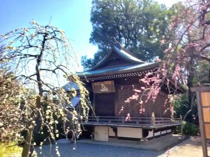 布多天神社(東京都)