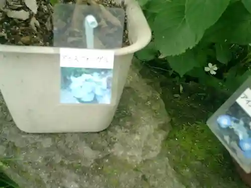 光則寺のその他建物