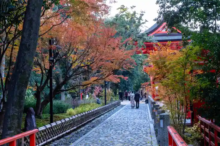 賀茂御祖神社(下鴨神社)(京都府)