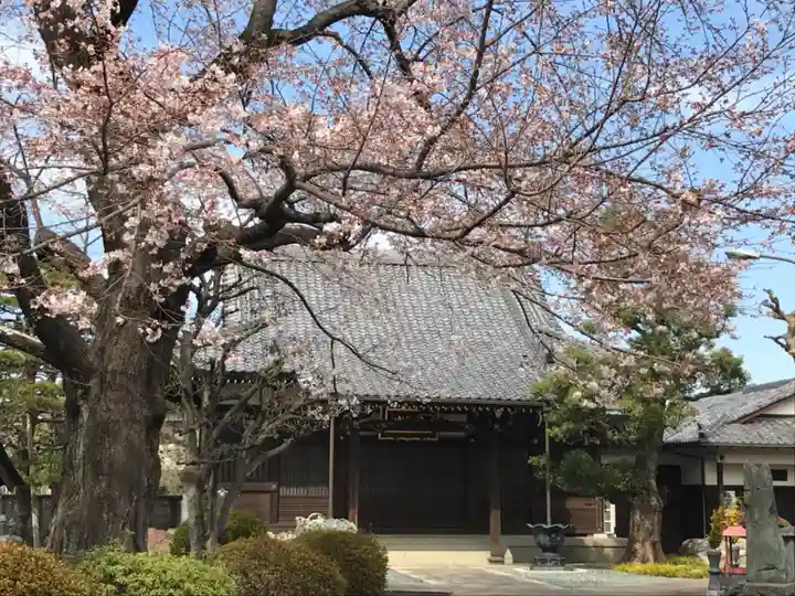 多聞院の本殿・本堂