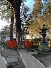 大前神社の自然