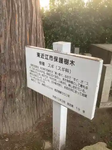 八咫神社の自然