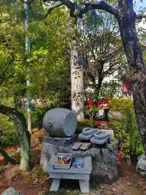 遍照院の{uncategorized: "未分類", other: "その他", undefined: "問題あり", building: "その他建物", grave: "お墓", sacred_gate: "鳥居", guardian: "狛犬", statue: "像", buddha: "仏像", history: "歴史", nature: "自然", garden: "庭園", animal: "動物", pagoda: "塔", temizu: "手水舎", mountain_gate: "山門・神門", sanctuary: "本殿・本堂", subordinate: "末社・摂社", art: "芸術", scenery: "景色", jizo: "地蔵", ema: "絵馬", goshuin: "御朱印", omikuji: "おみくじ", items: "授与品その他", amulet: "お守り", goshuincho: "御朱印帳", eats: "食事", festival: "お祭り", votive_dance: "神楽", shichigosan: "七五三参", wedding: "結婚式", experience: "体験その他", initially: "初詣", around: "周辺", anti_infection: "感染症対策"}