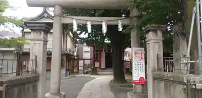 白幡八幡神社の鳥居