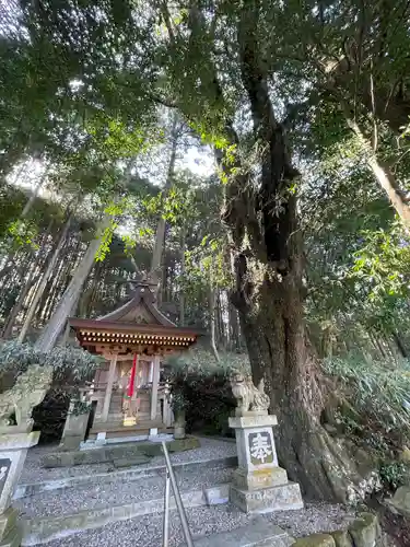 八坂神社(奈良県)