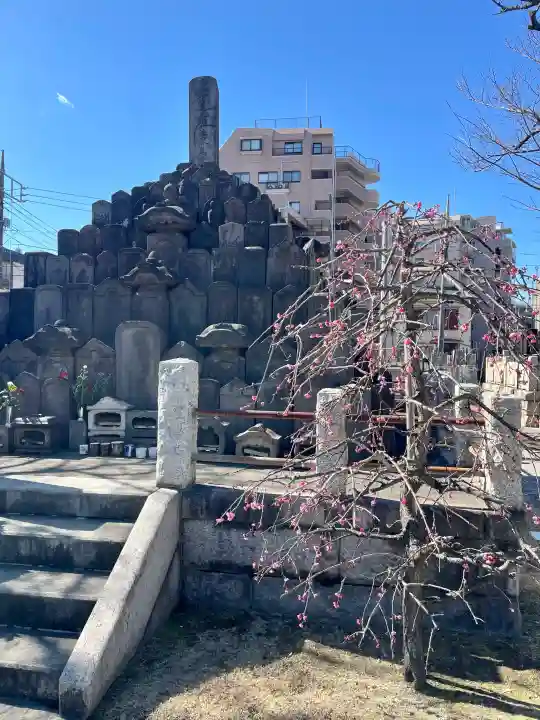 妙典寺の{uncategorized: "未分類", other: "その他", undefined: "問題あり", building: "その他建物", grave: "お墓", sacred_gate: "鳥居", guardian: "狛犬", statue: "像", buddha: "仏像", history: "歴史", nature: "自然", garden: "庭園", animal: "動物", pagoda: "塔", temizu: "手水舎", mountain_gate: "山門・神門", sanctuary: "本殿・本堂", subordinate: "末社・摂社", art: "芸術", scenery: "景色", jizo: "地蔵", ema: "絵馬", goshuin: "御朱印", omikuji: "おみくじ", items: "授与品その他", amulet: "お守り", goshuincho: "御朱印帳", eats: "食事", festival: "お祭り", votive_dance: "神楽", shichigosan: "七五三参", wedding: "結婚式", experience: "体験その他", initially: "初詣", around: "周辺", anti_infection: "感染症対策"}