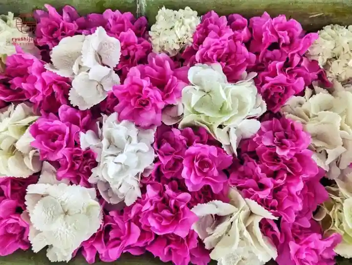 立志神社(滋賀県)