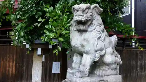 須佐之男神社の狛犬