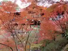 東福禅寺（東福寺）(京都府)