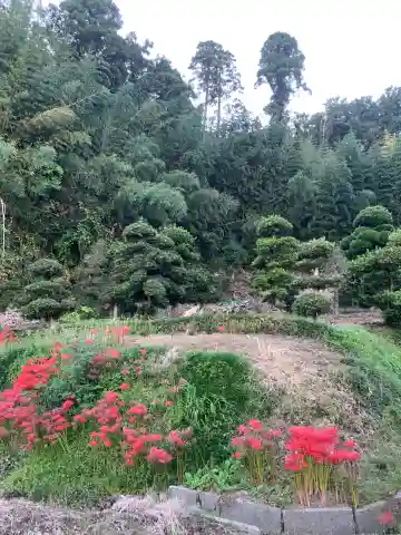 常安寺(千葉県)