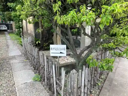 霊巌寺(東京都)