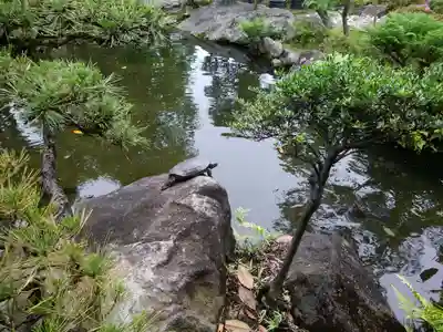 題経寺(柴又帝釈天)(東京都)