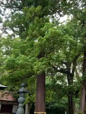 青葉神社(宮城県)