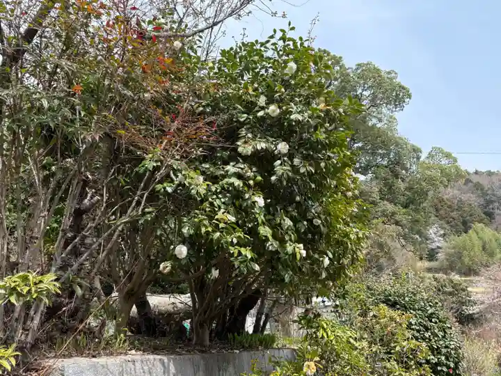忍頂寺(大阪府)