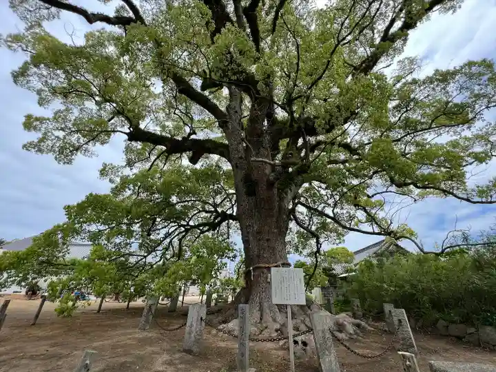 白鳥神社(香川県)
