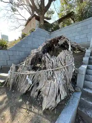 曩祖八幡宮の自然