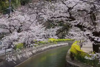 毘沙門堂門跡(京都府)